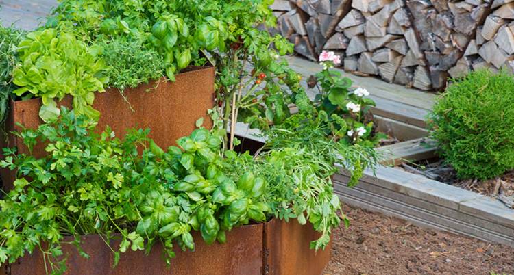 La rouille, le nouveau noir | Outstanding by Kirami