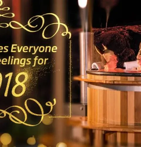 Nous remercions tous nos clients et partenaires pour cette année 2017 passée ensemble et nous vous souhaitons à tous une très bonne année 2018 !