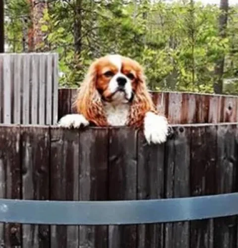 Comment recycler votre bain nordique ? | Kirami