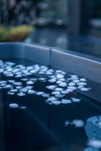 Comfort BlackIce S - BlackLeather, gris